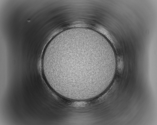 X0000096141282200802151327