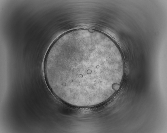 X0000096141283200802151326