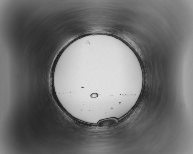 X0000096141285200802151326