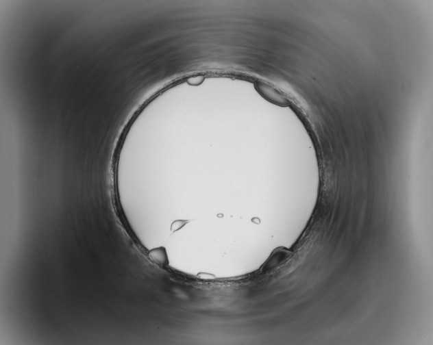 X0000096141287200802151326