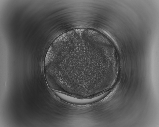 X0000096141289200802151326