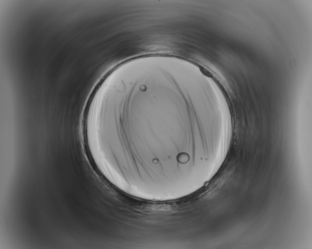 X0000096141291200802151326