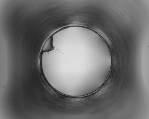 X0000096141292200802151326