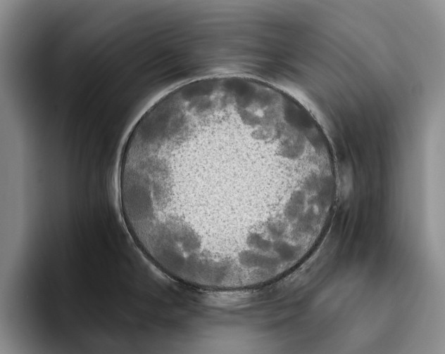X0000096141294200802151326