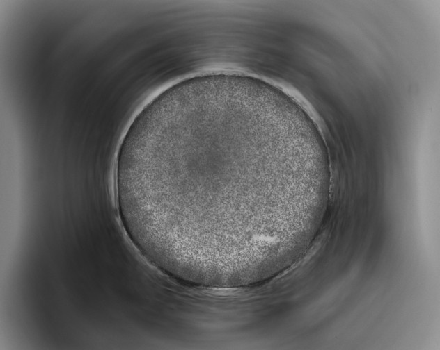 X0000096141295200802151326