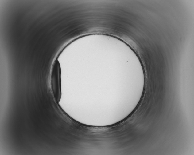 X0000096141296200802151326