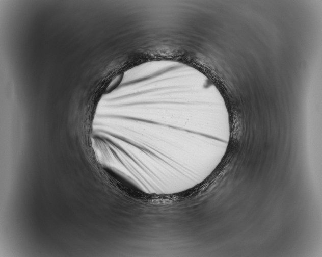 X0000096141297200802151326