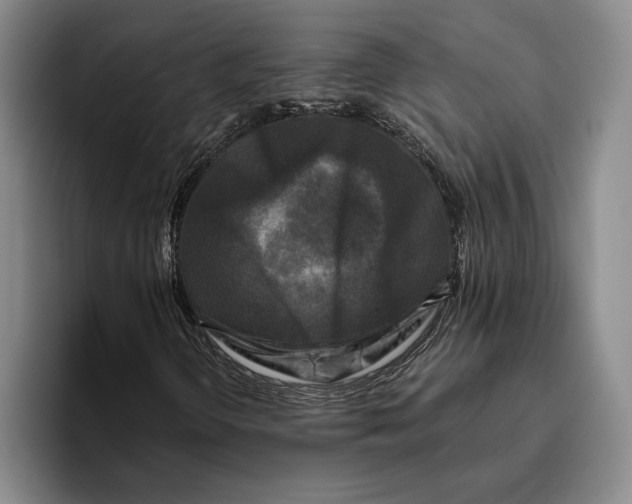 X0000096141298200802151326