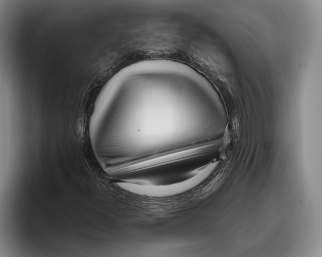 X0000096141300200802151326