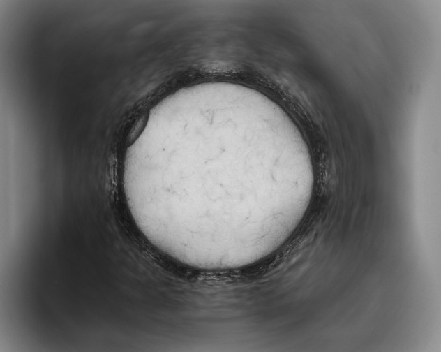 X0000096141301200802151326