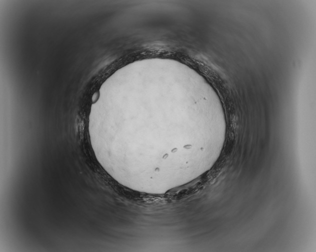 X0000096141302200802151326