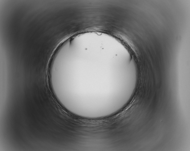 X0000096141308200802151326
