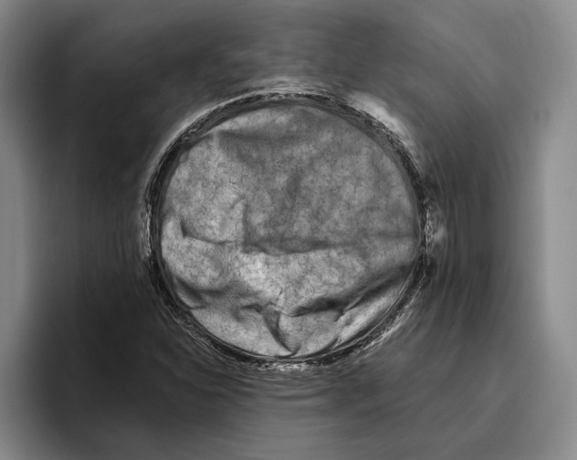 X0000096141310200802151326