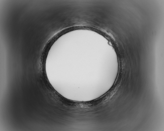 X0000096141311200802151326