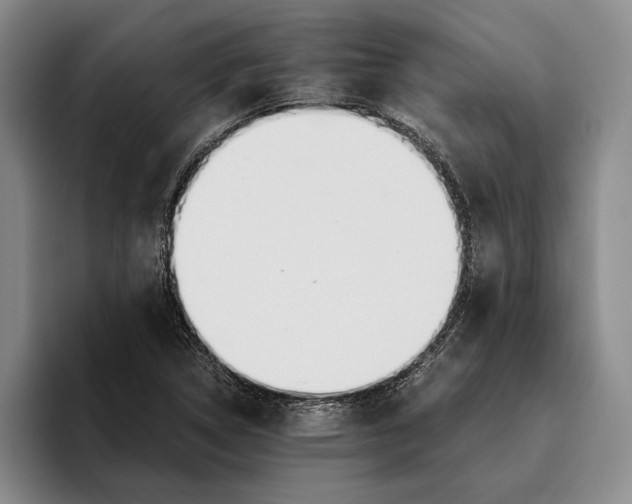 X0000096141314200802151326