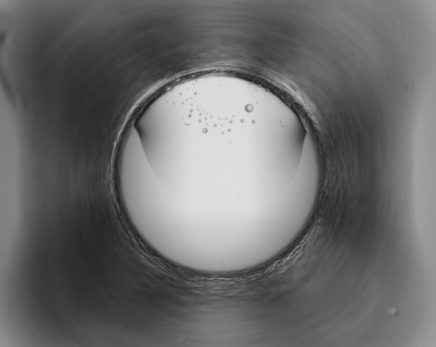 X0000096141316200802151326