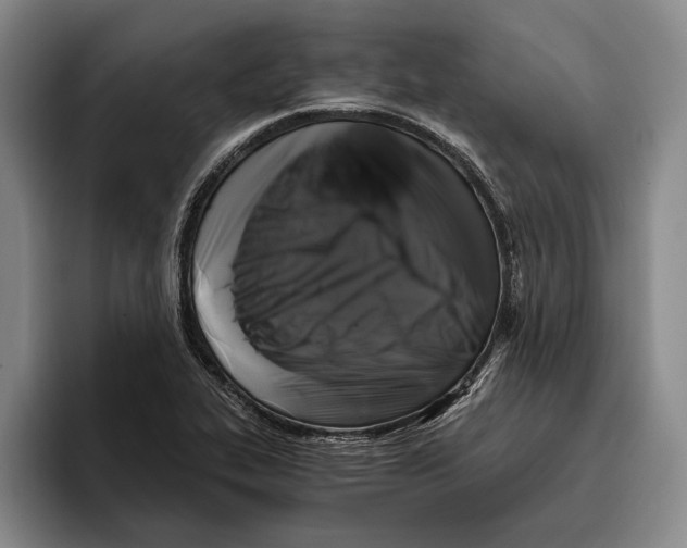 X0000096141319200802151326