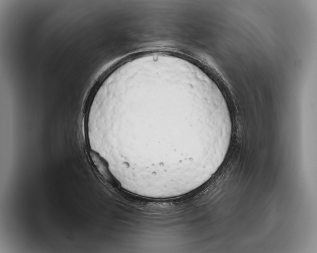 X0000096141320200802151326