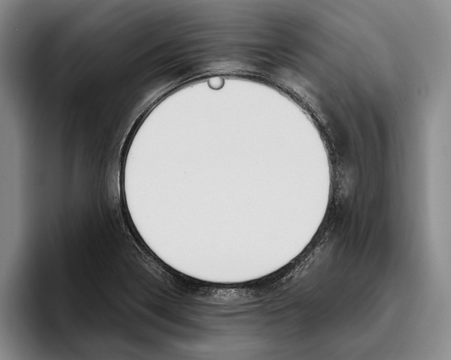 X0000096141322200802151326