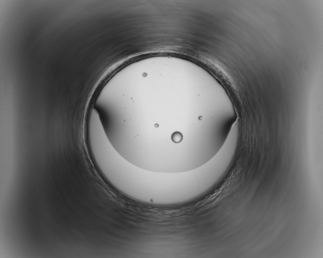 X0000096141324200802151326