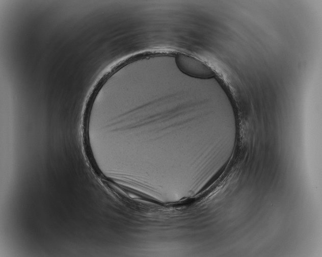 X0000096141327200802151326