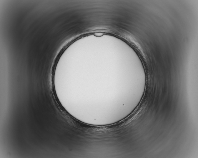X0000096141328200802151326