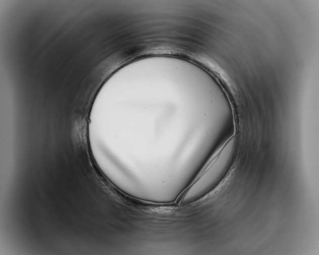 X0000096141329200802151326
