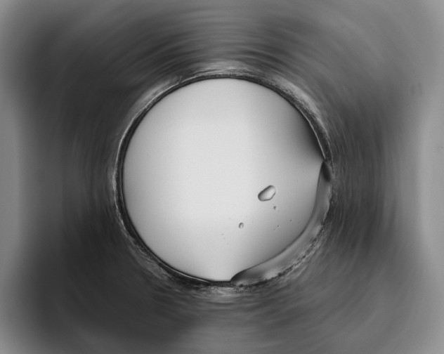 X0000096141330200802151326