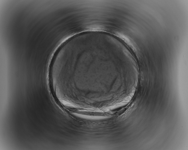 X0000096141331200802151326