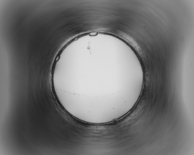 X0000096141332200802151326