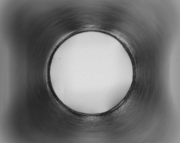 X0000096141333200802151326