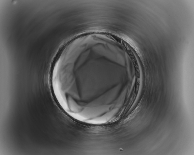 X0000096141334200802151326