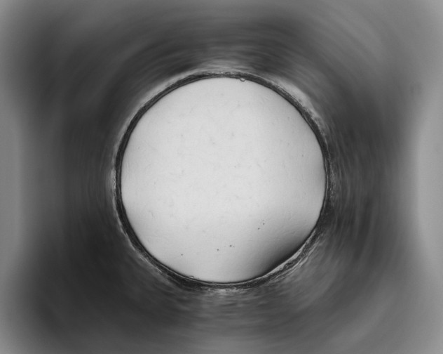 X0000096141335200802151326