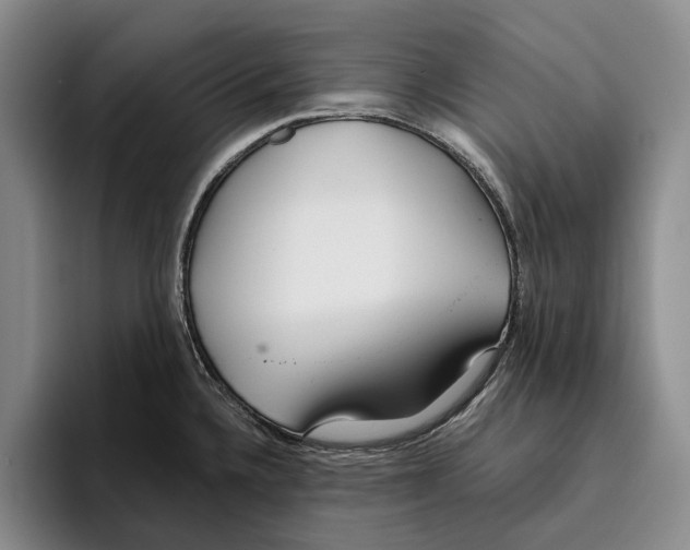 X0000096141336200802151326