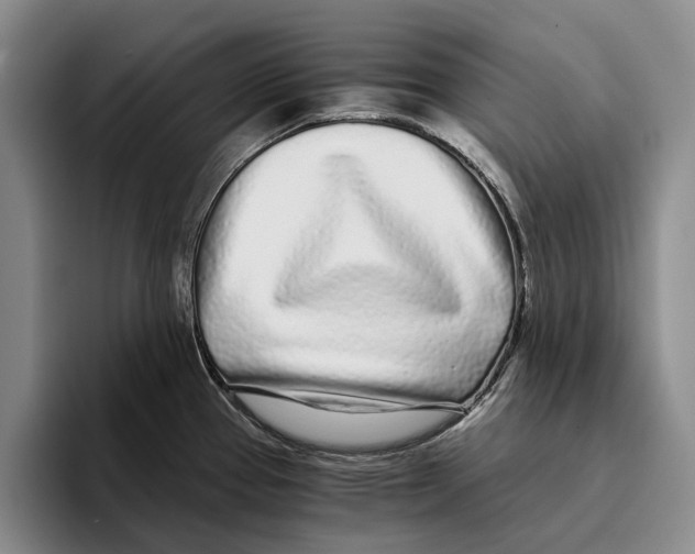 X0000096141337200802151326