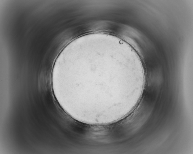 X0000096141338200802151326