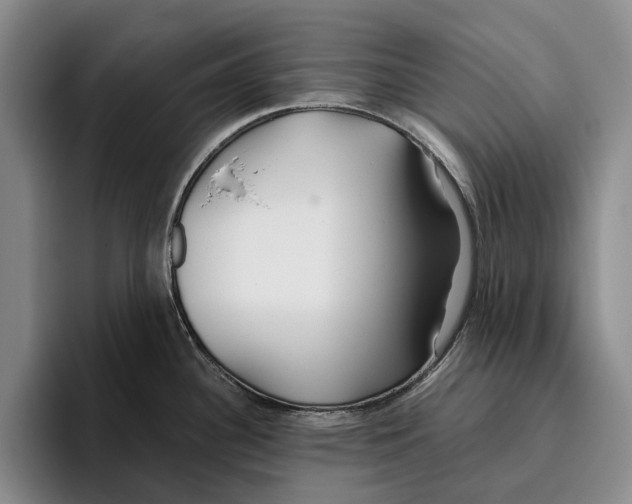 X0000096141340200802151326
