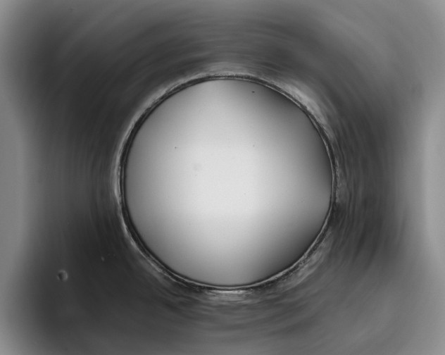 X0000096141342200802151326