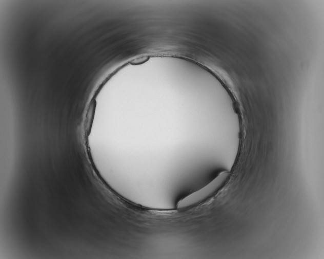 X0000096141344200802151326