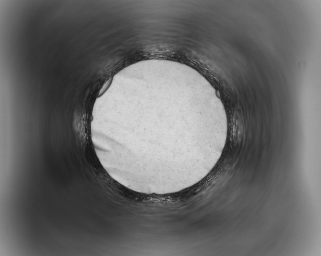 X0000096141346200802151326