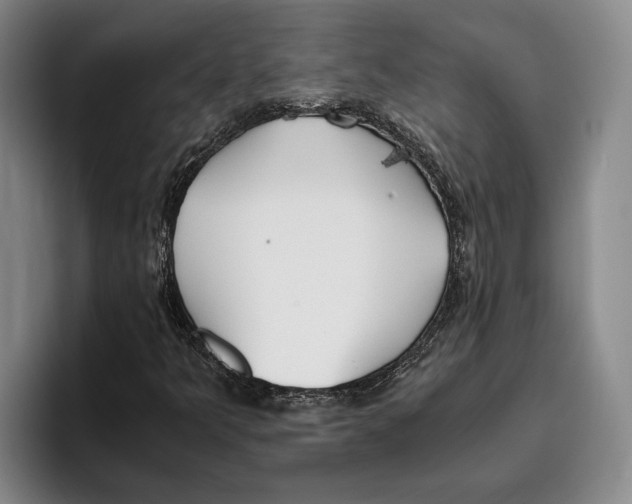 X0000096141349200802151326