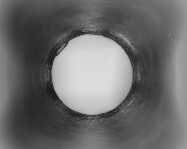 X0000096141350200802151326