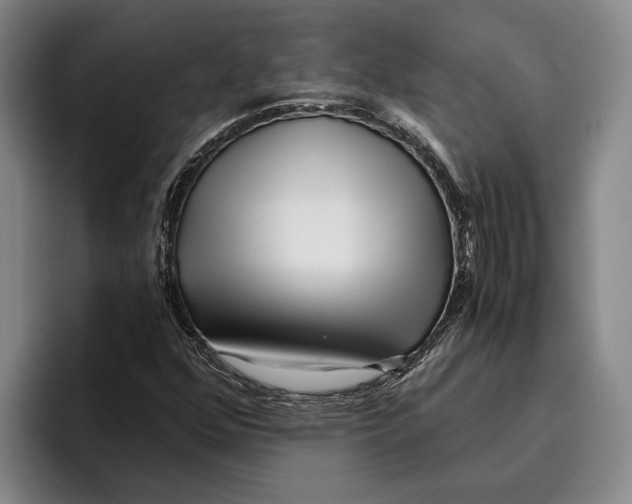 X0000096141352200802151326