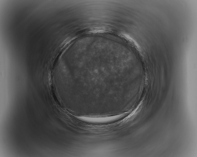 X0000096141353200802151326