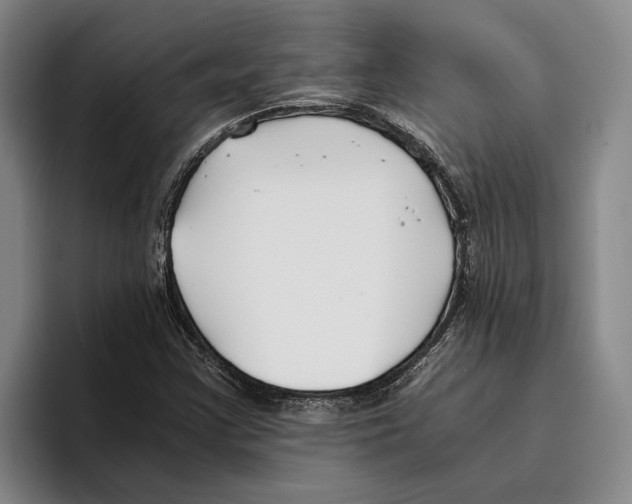 X0000096141355200802151326