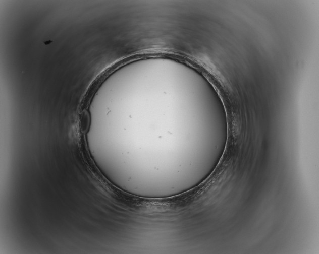X0000096141356200802151326