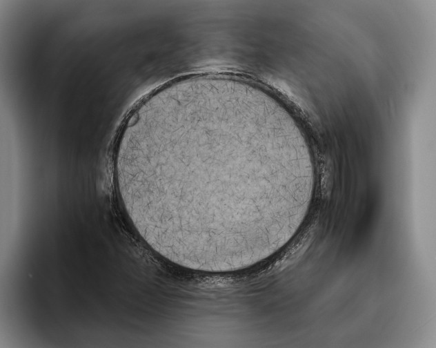 X0000096141358200802151326
