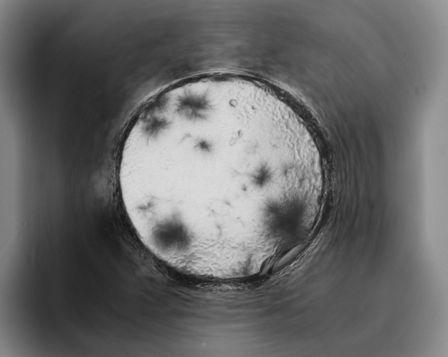 X0000096141359200802151326