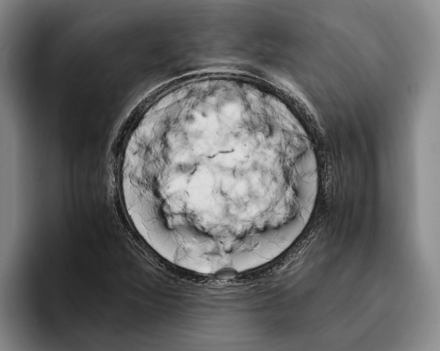 X0000096141360200802151325