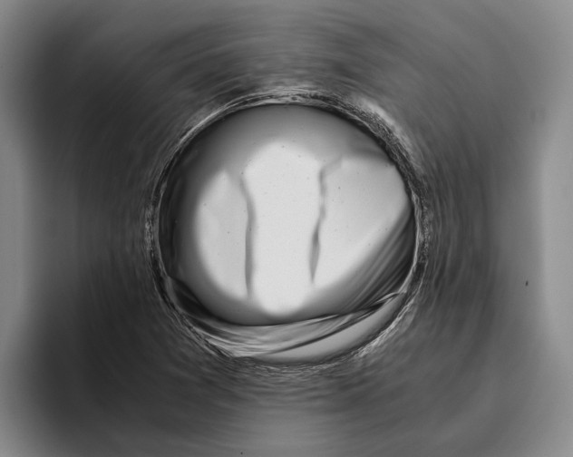 X0000096141361200802151325